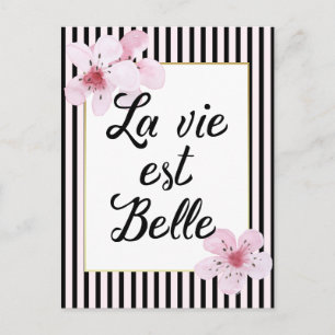 Feminine French Pink and Black Stripes and Flowers Postcard