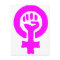 Feminism Symbol