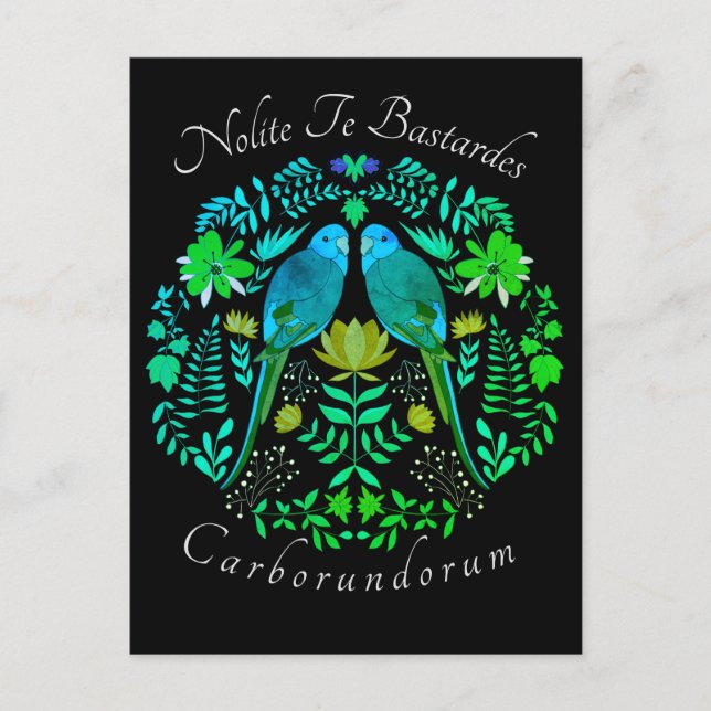 Feminist art Nolite Te Bastardes Carborundorum  Postcard (Front)