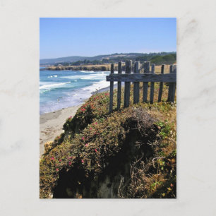 Fence at Cliff's Edge Announcement Postcard