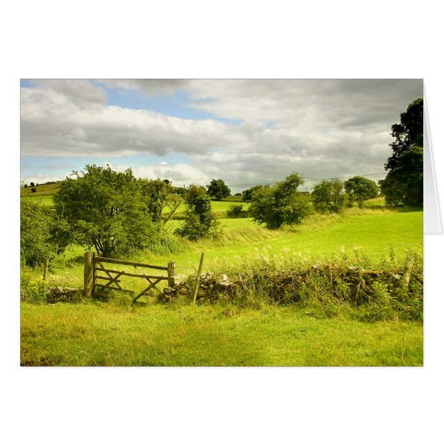 Fence, fields and Meadowsweet (Front Horizontal)