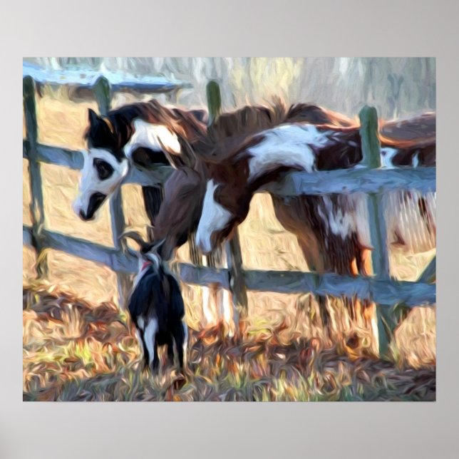 Fence Friends Poster (Front)
