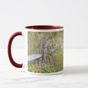 Fence & Poison Ivy IBSP NJ Coordinating Items Mug
