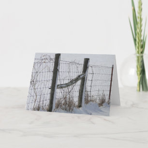 Fences & Snow Card