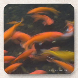 Feng Shui believe koi fish bring good luck. Coaster