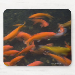 Feng Shui believe koi fish bring good luck. Mouse Pad