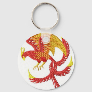 fenix key ring