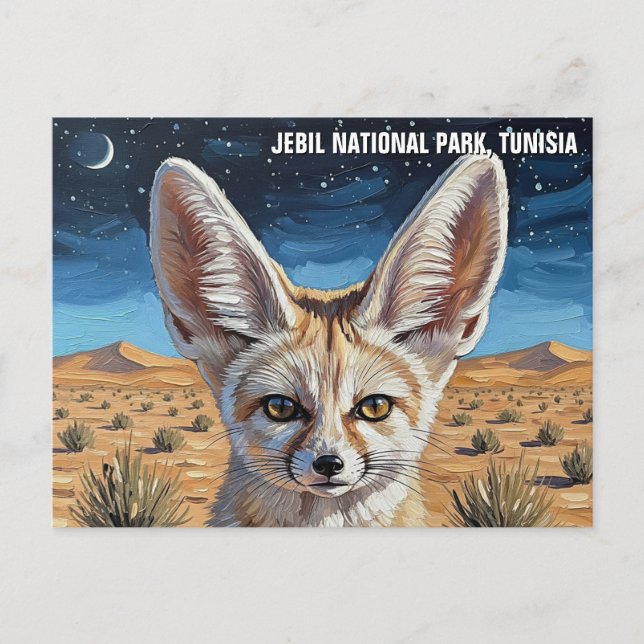 Fennec Fox in Jebil National Park Tunisia Postcard (Front)
