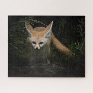 Fennec Fox Jigsaw Puzzle
