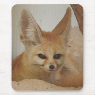 Fennec Fox Mouse Pad