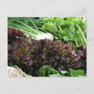 Fennel and lettuce postcard