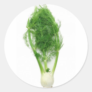 Fennel leaf and bulb classic round sticker