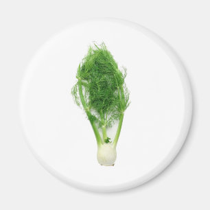 Fennel leaf and bulb magnet