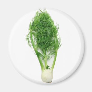 Fennel leaf and bulb magnet