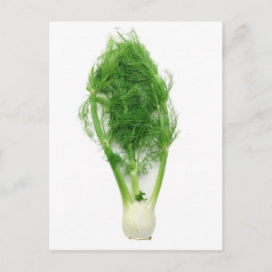Fennel leaf and bulb postcard