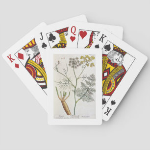 Fennel, plate 288 from 'A Curious Herbal', publish Playing Cards