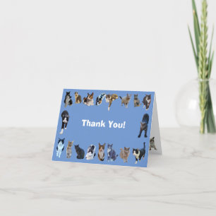 Feral Cat Folded Thank You Card