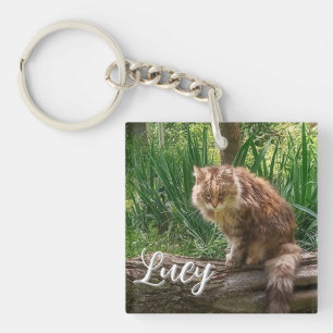 Feral Cat Photo / Cat Lover Key Ring