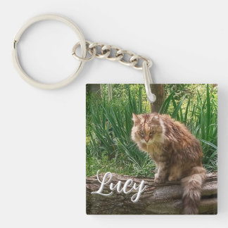 Feral Cat Photo / Cat Lover  Key Ring