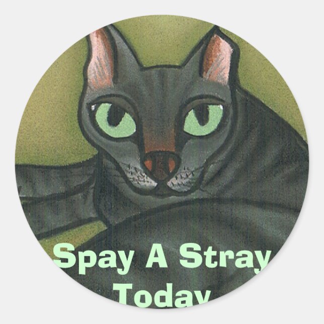 Feral cat, Spay A Stray Today - Customised Classic Round Sticker (Front)