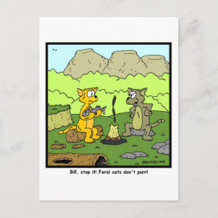 Feral Cats don't purr! Postcard