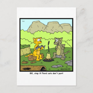 Feral Cats don't purr! Postcard