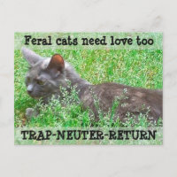Feral Cats Need Love - TNR