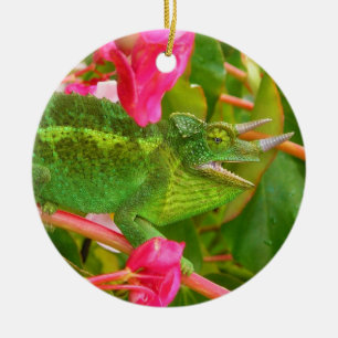 Feral Jackson's Chameleon on Maui Island Hawaii Ceramic Tree Decoration