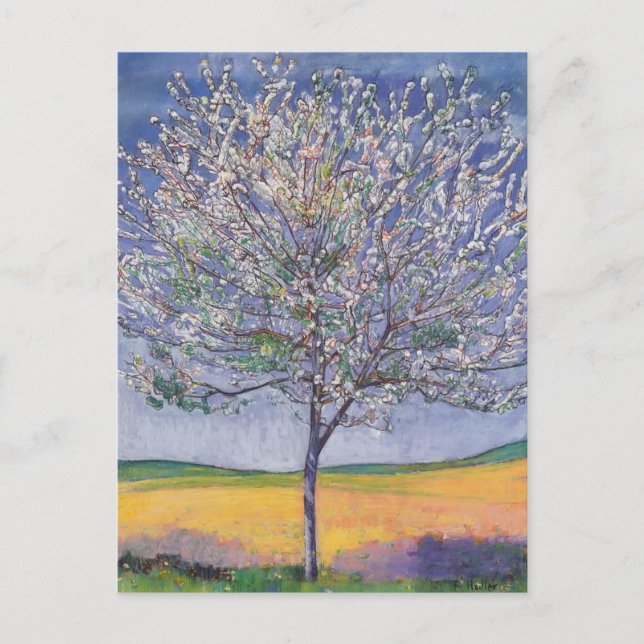 Ferdinand Hodler- Cherry Tree in Bloom Postcard (Front)