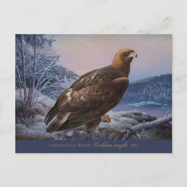 Ferdinand von Wright Golden eagle 1884 CC0314 Postcard (Front)