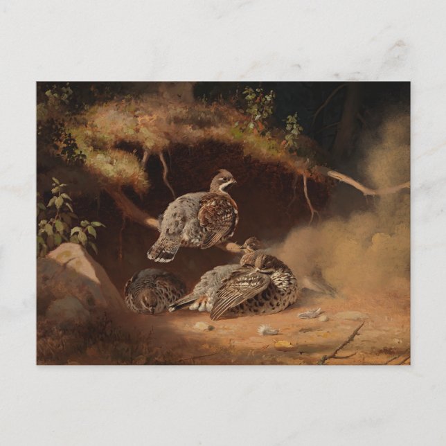 Ferdinand von Wright - Hazel Grouse Wallowing Postcard (Front)