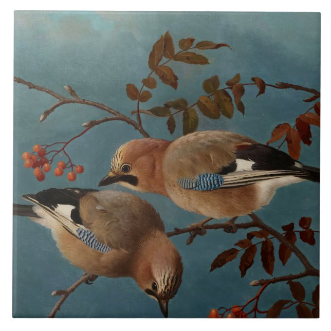 Ferdinand von Wright - Jays Ceramic Tile (Front)
