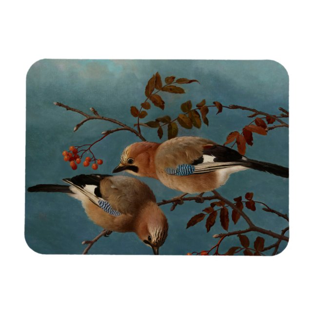 Ferdinand von Wright - Jays Magnet (Horizontal)