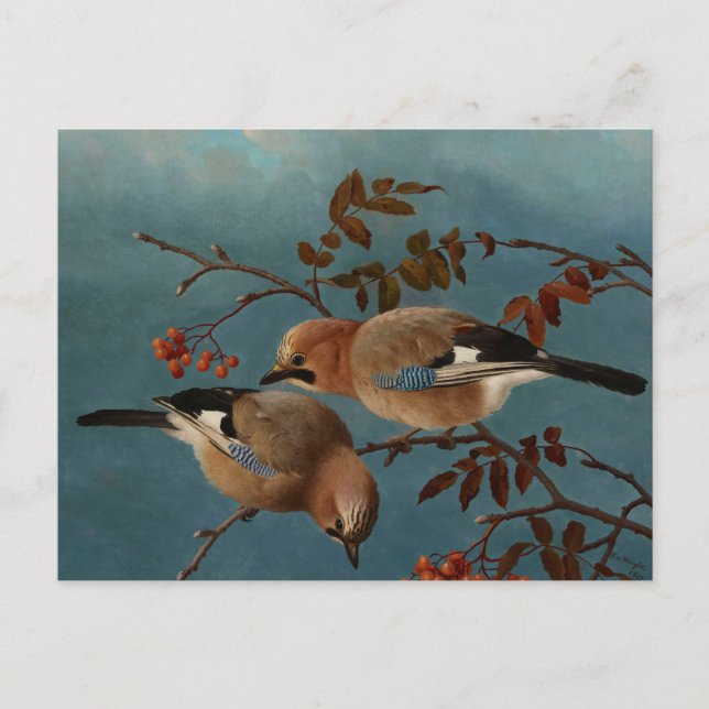 Ferdinand von Wright - Jays Postcard (Front)