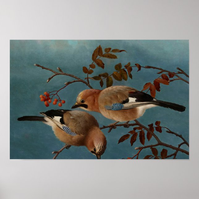 Ferdinand von Wright - Jays Poster (Front)