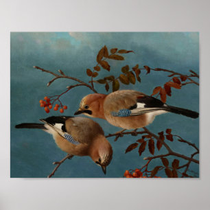 Ferdinand von Wright - Jays Poster