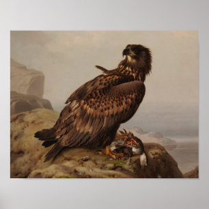 Ferdinand von Wright - White-Tailed Eagle Poster