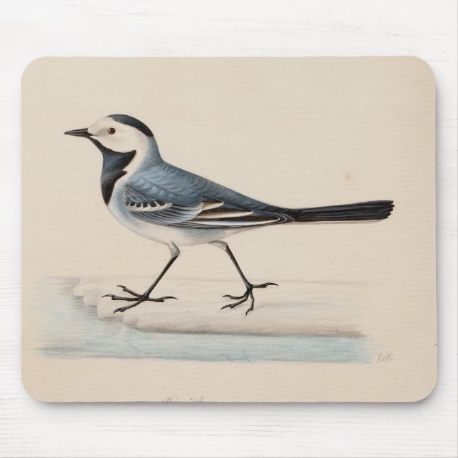 Ferdinand von Wright - White Wagtail Mouse Pad (Front)