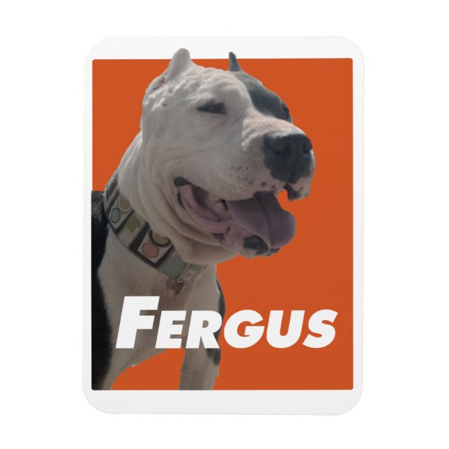 Fergus The Barbers Dog Magnet (Vertical)