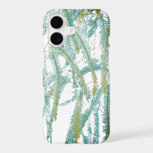 Fern