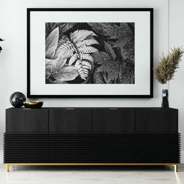 Fern and Foliage Black and White Photo Print (In Situ Framed)
