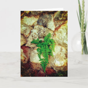 Fern and Geodes All Occasions Card