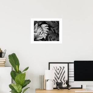 Fern and Leafy Foliage Black and White Poster
