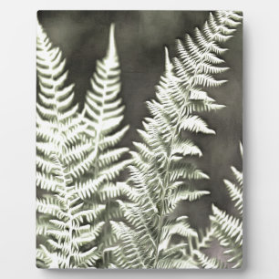 Fern Artistic Abstract Plaque