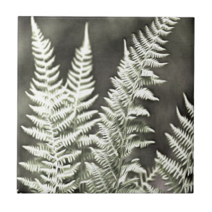 Fern Artistic Abstract Tile