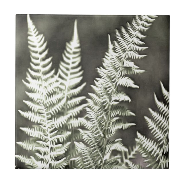 Fern Artistic Abstract Tile (Front)