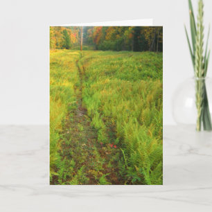 Fern Autumn Landscape Card