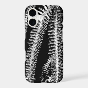 Fern black and white