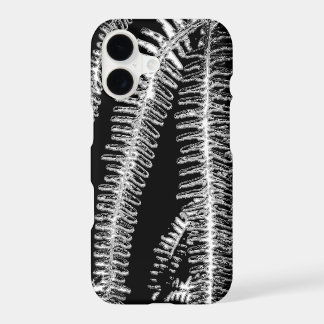 Fern black and white