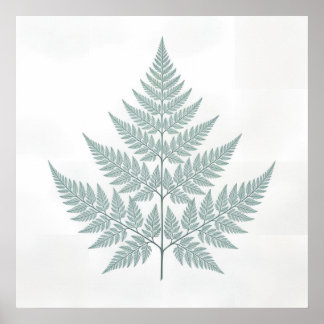 Fern Botanical Print Poster